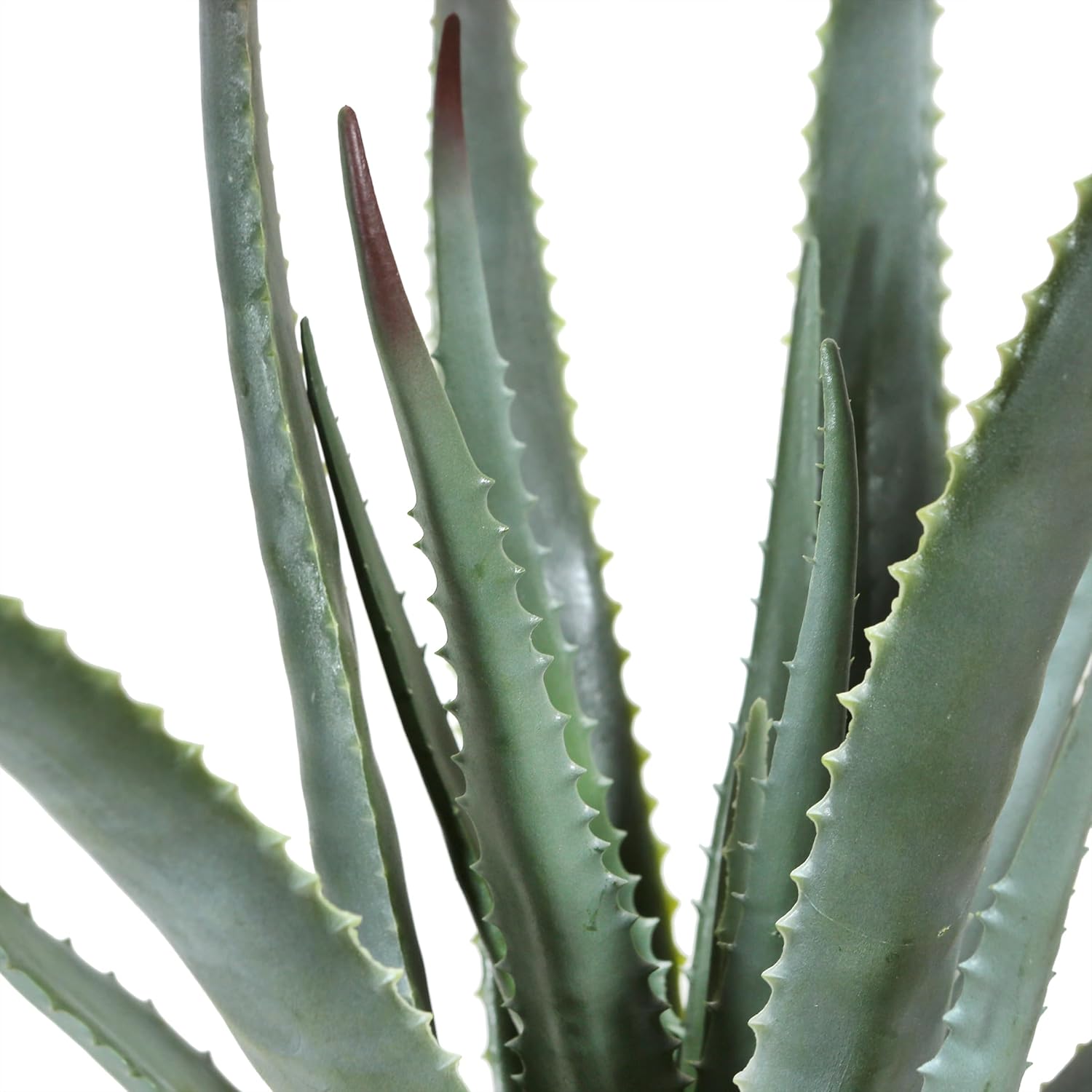 Seasonal LLC Artificial Potted Aloe Plant 20in
