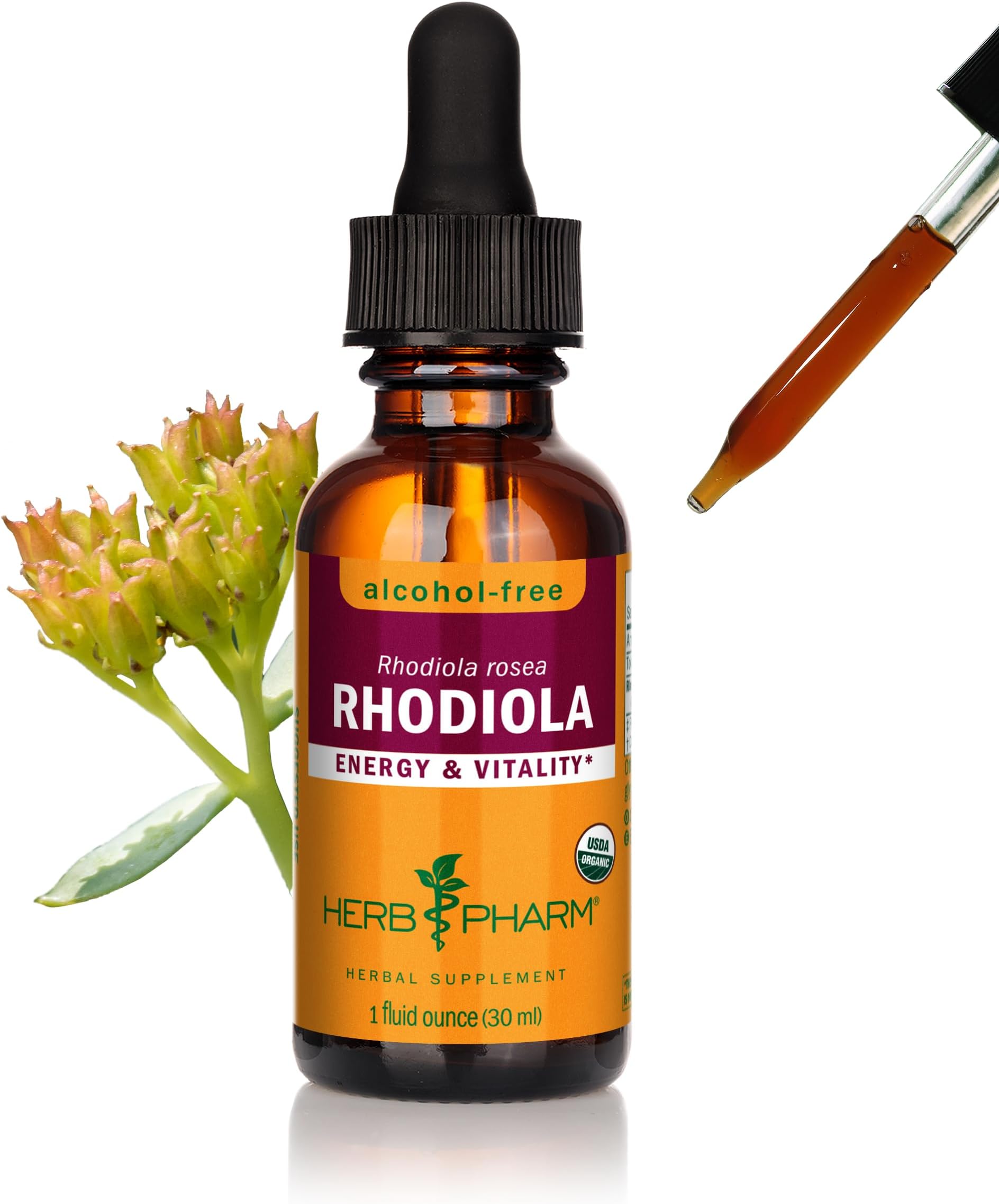 Herb Pharm Certified Organic Rhodiola Root Extract Drops for Energy, Endurance and Stamina, Alcohol-Free Glycerite, 1 Oz