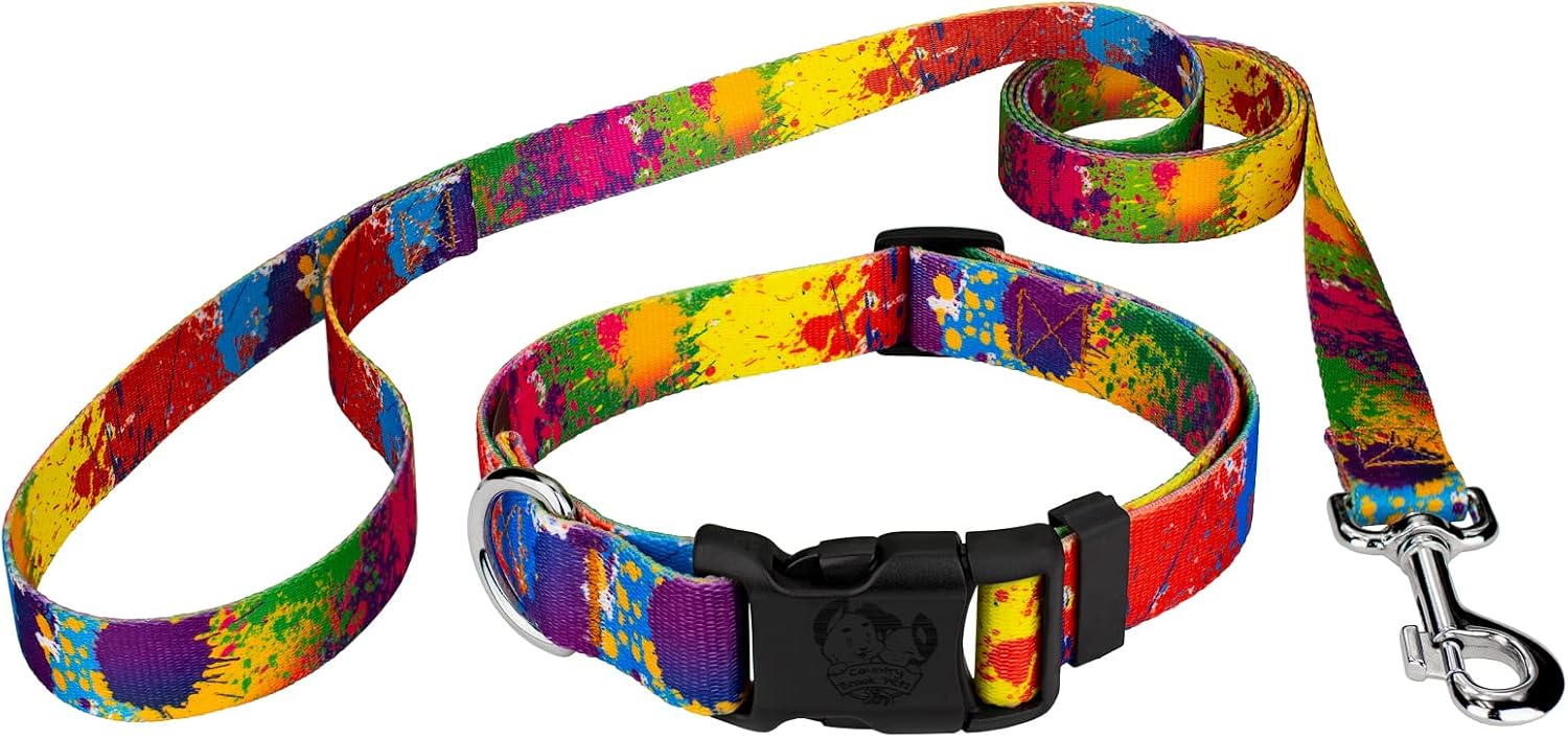 Country Brook Petz - Paint Splatter Everyday Dog Collar and Leash - Groovy Collection Featuring Far Out Designs (1 Inch, Large)