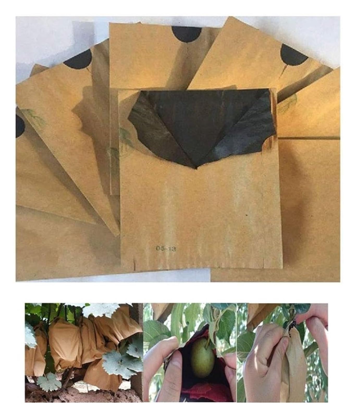 Bolsas Protectoras contra Insectos para Uvas, Bolsas Impermeables de Doble Capa for Cultivo hortalizas, Malla antipájaros for Control plagas agrícolas, 100 Unidades(15cmx18cm)