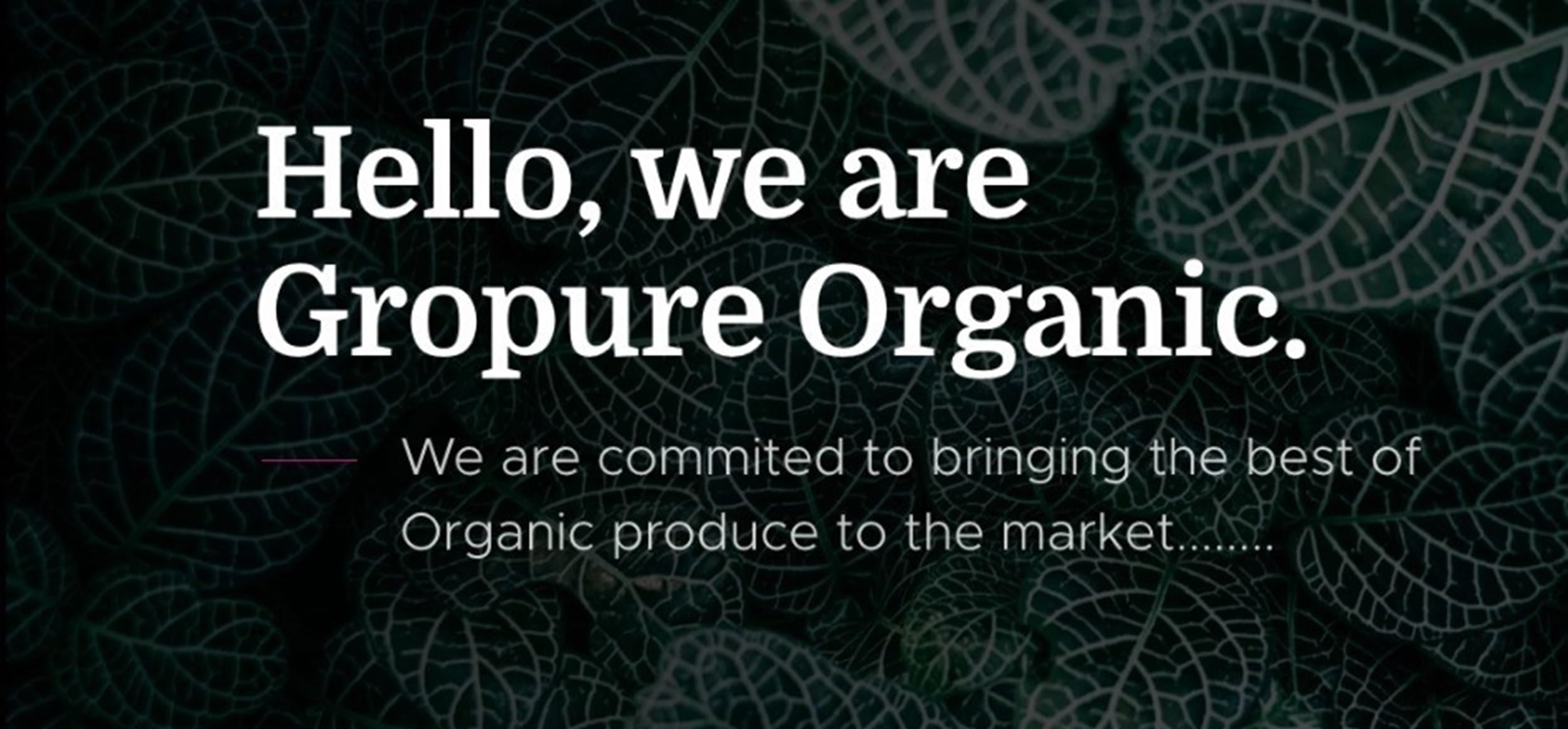 GroPure Organic: From Soil to Soul | Dried Mahua Flowers 100g | Mahua Phool | Ippa Vippa Illipe (Madhuca Longifolia) for Herbal Drinks, Traditional Recipes & Wellness | Naturally Sweet 1