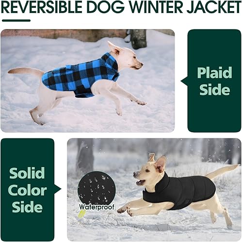 Miniatura 3 de Kuoser - Abrigo de invierno para perro de estilo británico, resistente al viento, ropa para perros, chaquetas para perros, chaleco para perros