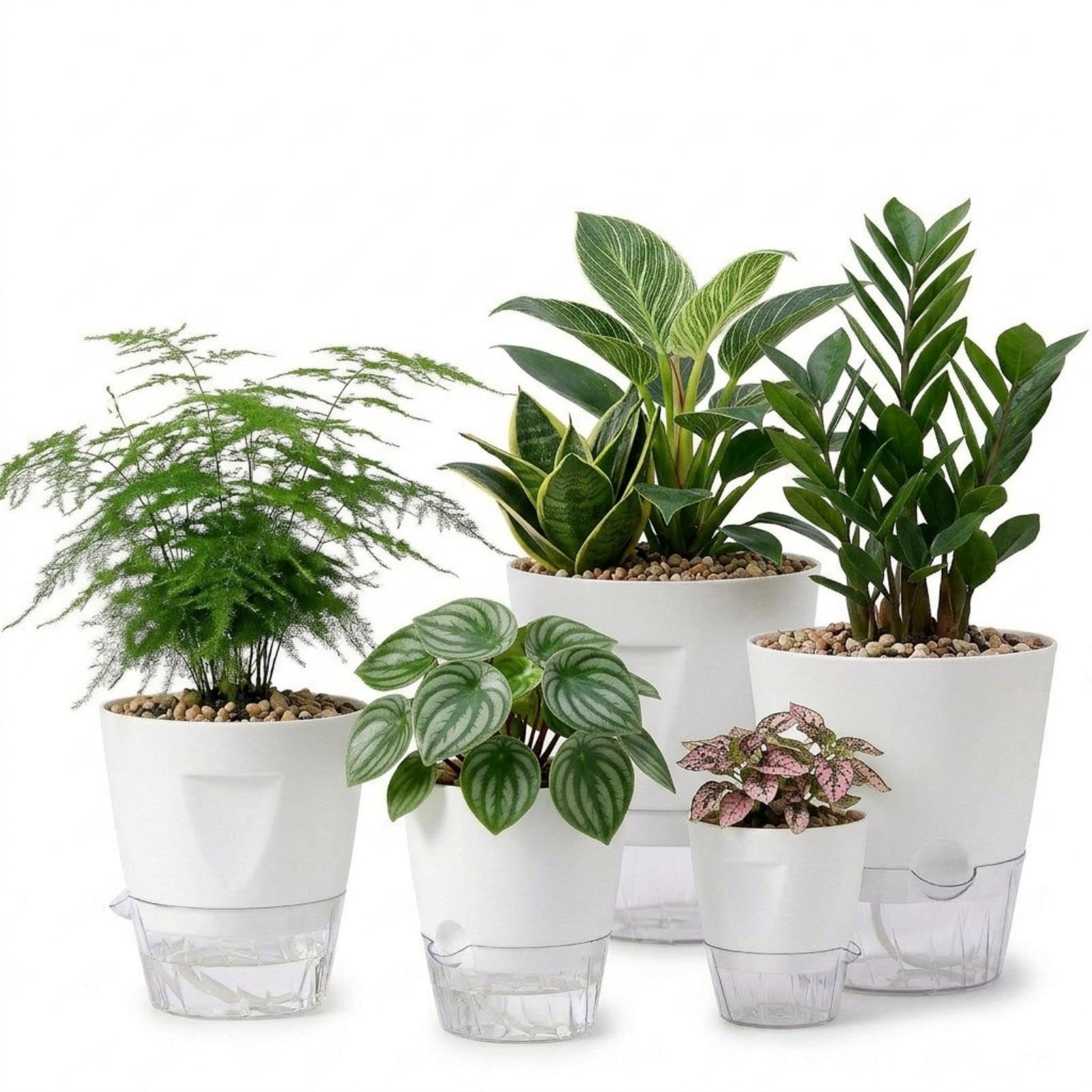 Pots de fleurs à arrosage automatique contre le dessèchement