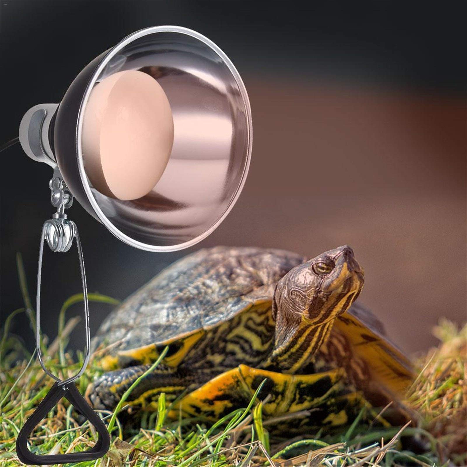 Riscaldatore per Animali Domestici UVB Riscaldamento Luce del Rettile Riscaldamento Lampada Stand Luce Pet portalampada Coperchio della Lampada emettitore Paralume