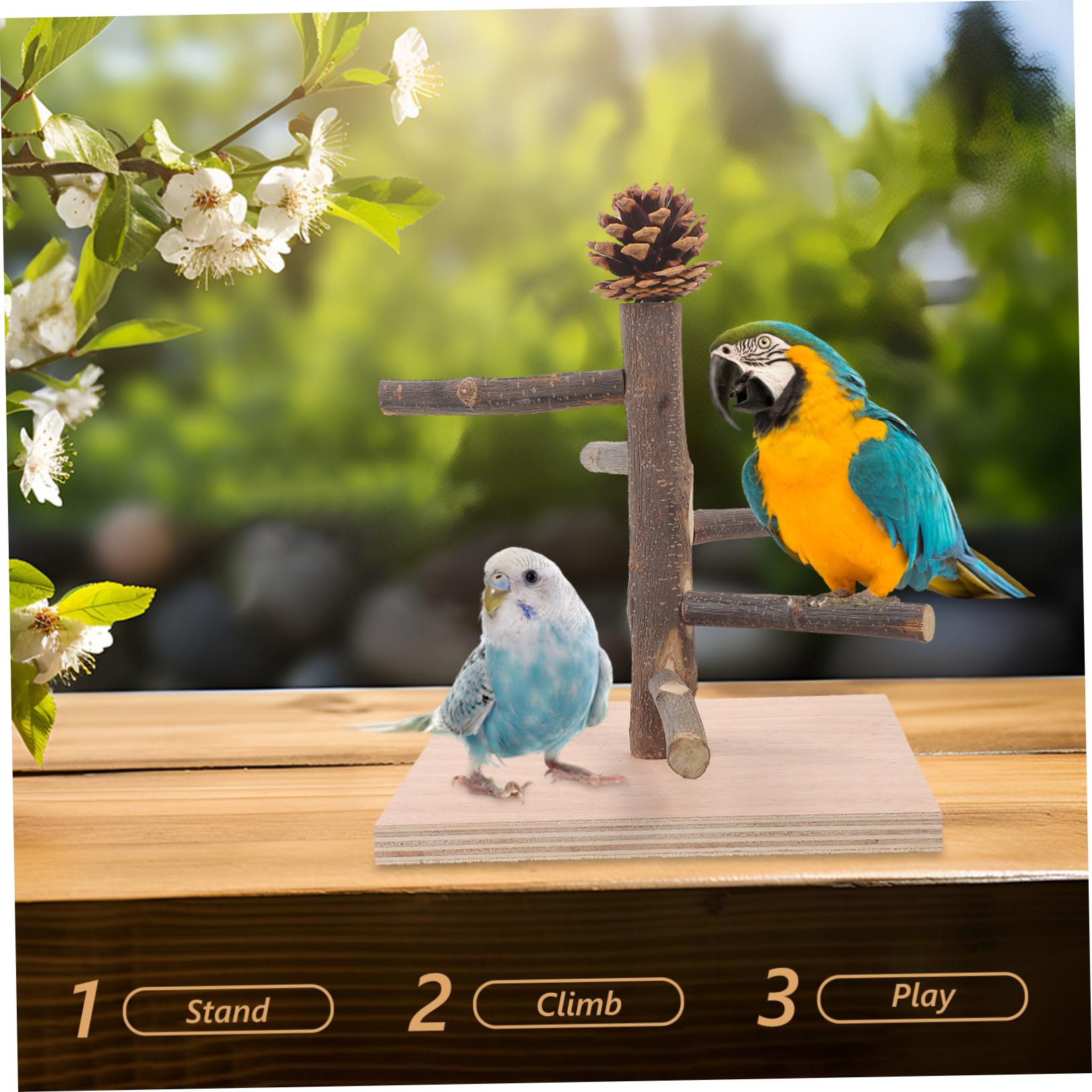 POPETPOP 4 Piezas Marco de Entrenamiento de Loros Juguete de Percha para pájaros Percha de pájaro de Escritorio Percha de Entrenamiento de pájaros Percha de pájaro de Mesa de Madera