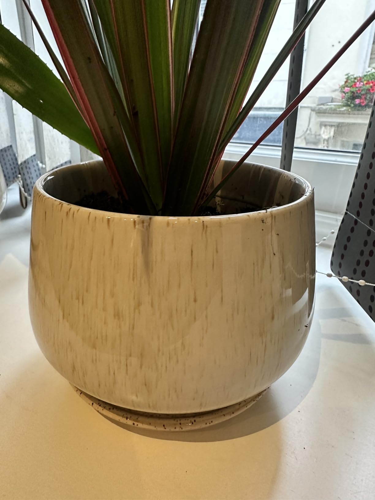 Customer photo