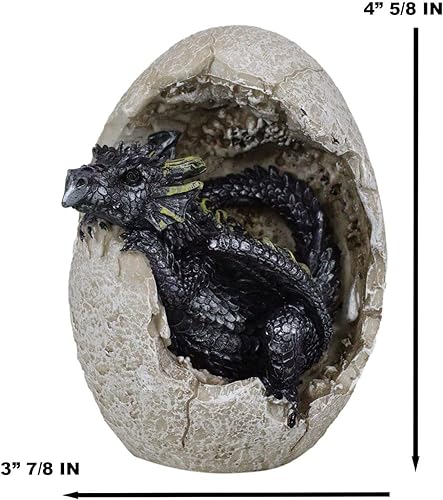 Miniatura 5 de Ebros Gift Fossil Raeon - Figura decorativa de dragón con luz del sol, diseño de cría de dragón que rompe de cáscara de huevo, 5 pulgadas de alto,