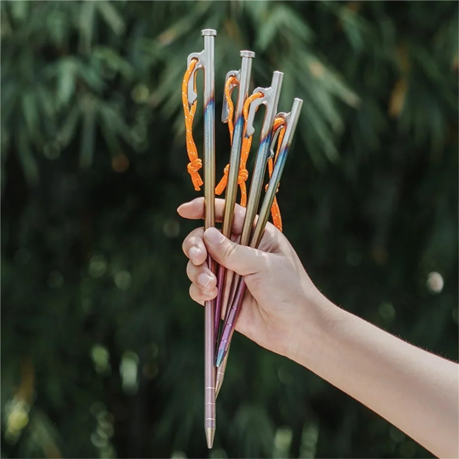 Śledź namiotowy, Zestaw 6 szt. tytanowych śledzi do namiotu, wytrzymałych kołków kempingowych, 20-40 cm, gwoździe mocowania baldachimu twardego gruntu(24cm)