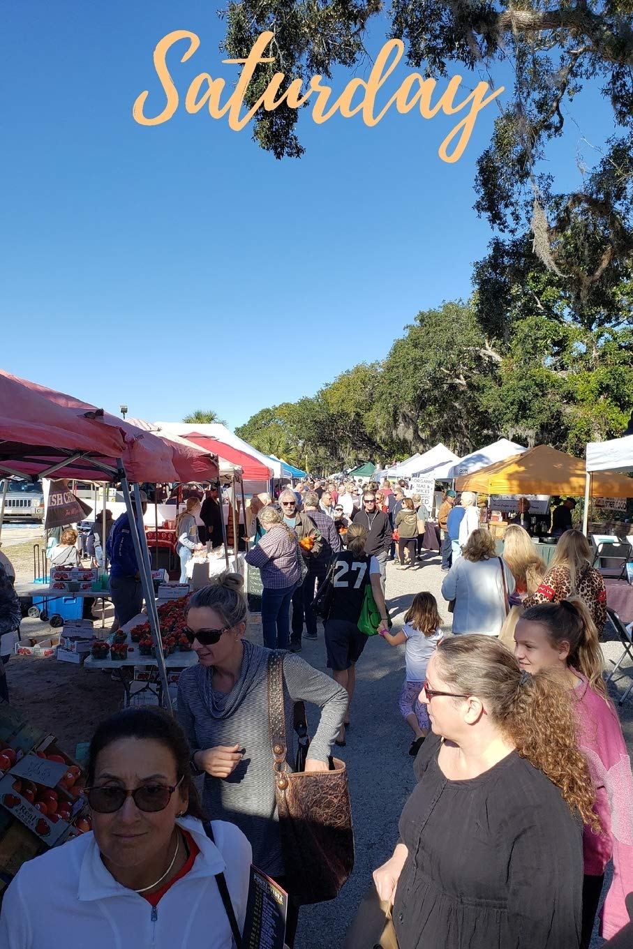 Saturday: At the St Augustine Amphitheater