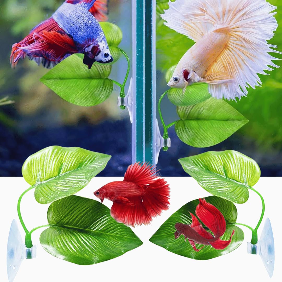 See full amazon price history chart for VAYINATO® 2 Pcs Double Leaf Betta Rest Area Plant Pad Simulating The Natural Habitat for Betta Spawning Grounds Breeding Bed | BPA Free | Safe For Fish by Petzlifeworld VAYINATO® 2 Pcs Double Leaf Betta Rest Area Plant Pad Simulating The Natural Habitat for Betta Spawning Grounds Breeding Bed | BPA Free | Safe For Fish by Petzlifeworld (B0CKHH1Z6C) Amazon Price History, Amazon Price Tracker