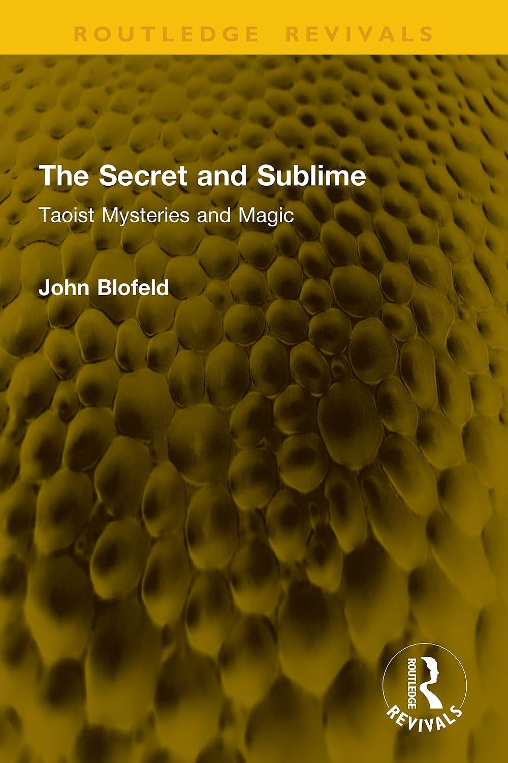 The Secret and Sublime: Taoist Mysteries and Magic (Routledge Revivals)