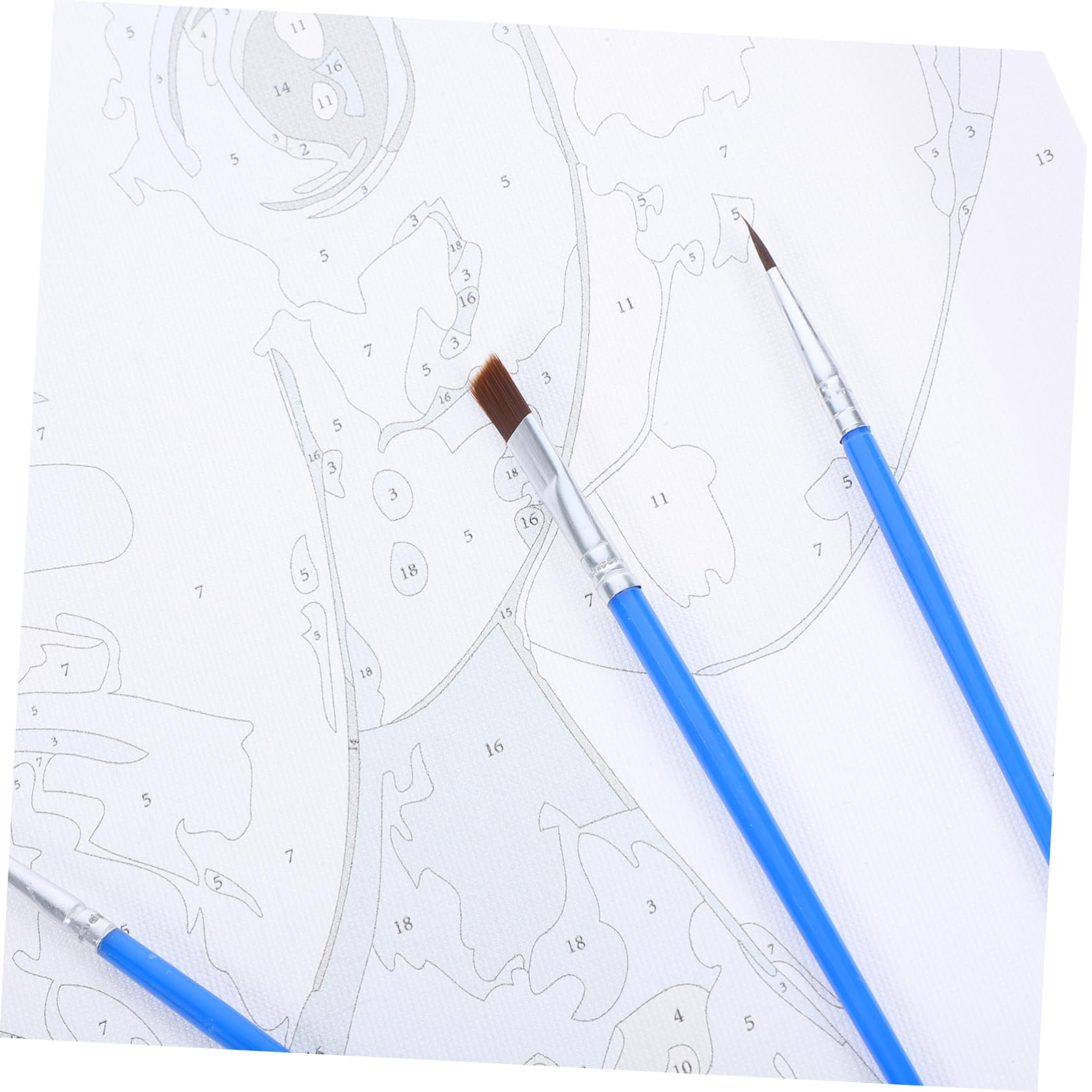 SWOOMEY 1set Kit Di Pittura Per Numeri Per Ragazzo Ragazza e Principianti Completo Con Tela Framed e Forniture Per Dipingere Acrilici Inclusi