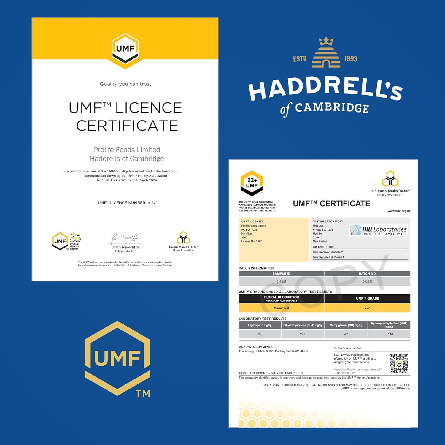 Haddrell's of Cambridge Miele di Manuka MGO 1000 circa (UMF 22+) 250g – Miele premium dalla Nuova Zelanda – Certificato, grezzo e sostenibile – Ricco di metilgliossale con alto contenuto di MGO