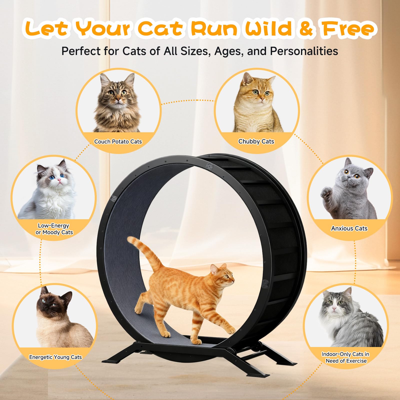 GTPLAYER - Rueda para gato, rueda de ejercicio para gatos, XL- 100 cm, ultra silenciosa con alfombra extraíble, pegatinas, sistema de bloqueo, apto para la mayoría de gatos, metal, negro