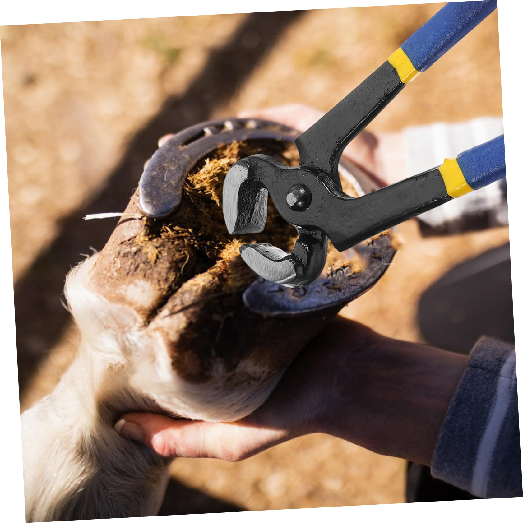 Yardwe 5 Piezas alicates para recortar pezuñas pinzas de herrador cortauñas de caballo Tijeras de reparación de herraduras Herramienta de reparación de herraduras herramienta para herrar