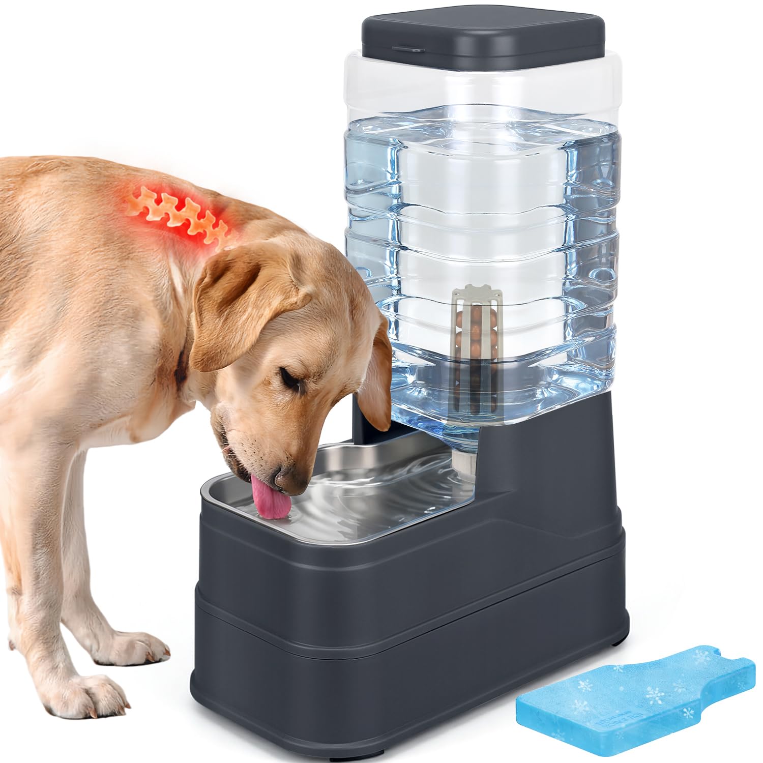 HWONMTE 2.2 Gallon Automatic Dog Water Dispenser