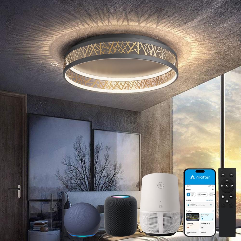 Yuanfenghua LED Deckenleuchte Mit Fernbedienung, Dimmbar Schlafzimmer Lampe with Matter Kompatibel Mit HomeKit, Alexa, Google and IFTTT, Rund Schwarz Gold Aushöhlen Design Wohnzimmer Ø50×H12CM