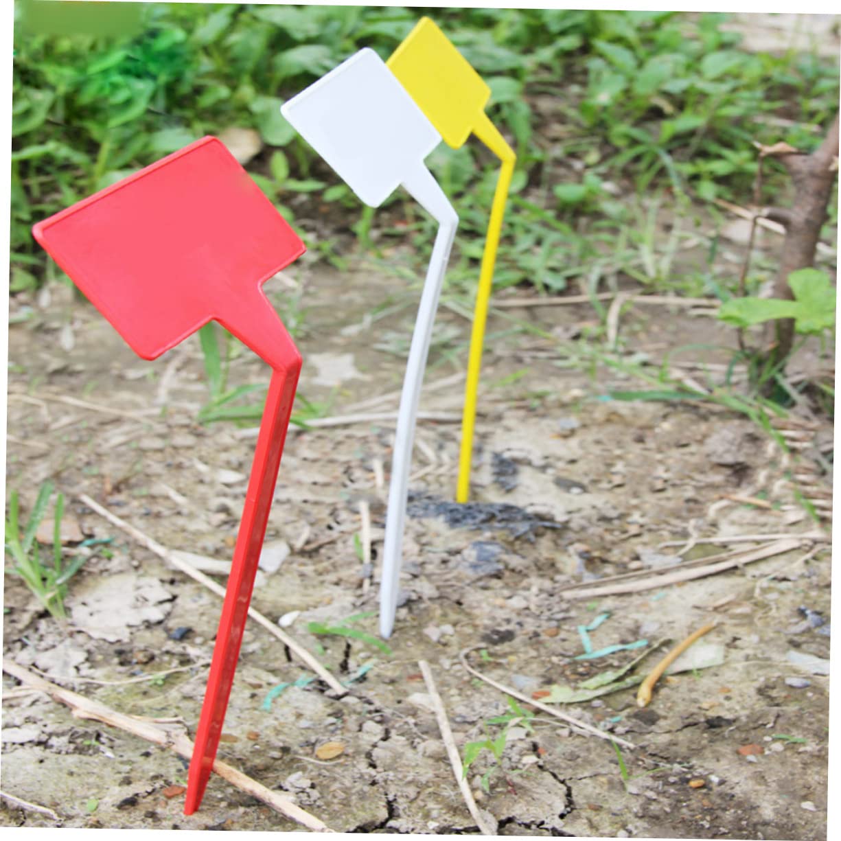 Lot de 2 Étiquettes de Jardin Marqueurs de Plantes Taille pour Une Identification Facile Des Plantes 10 Pièces