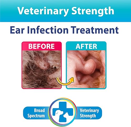 Miniatura 2 de BEXLEY LABS - Tratamiento veterinario para infecciones de oído de perros y gatos Curaseb Trata infecciones de ácaros en el oído levaduras hongos y