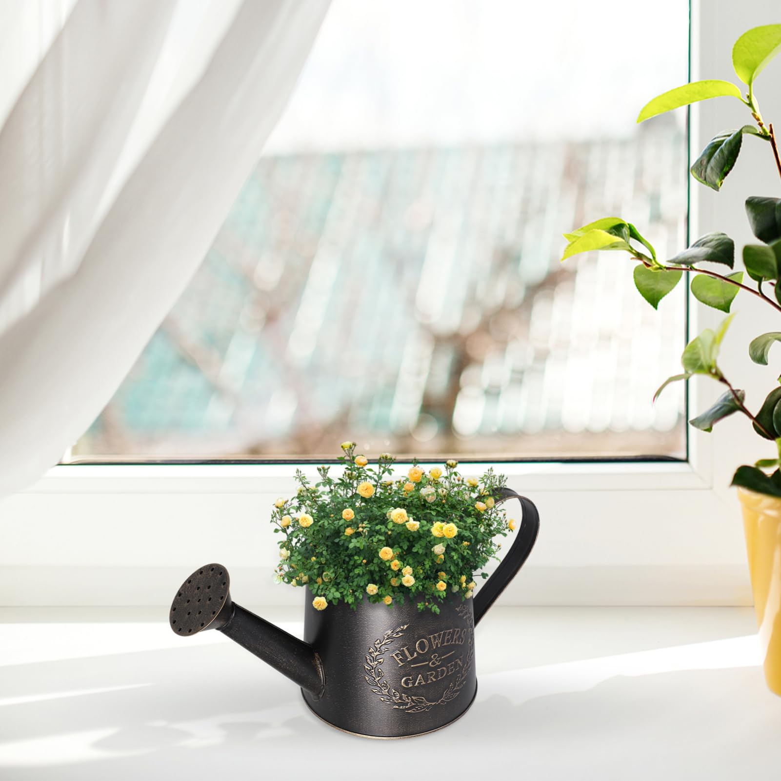 Milisten Arrosoir en métal avec bec verseur - Petit arrosoir galvanisé rustique avec poignée pour plantes d'intérieur ou d'extérieur - Noir