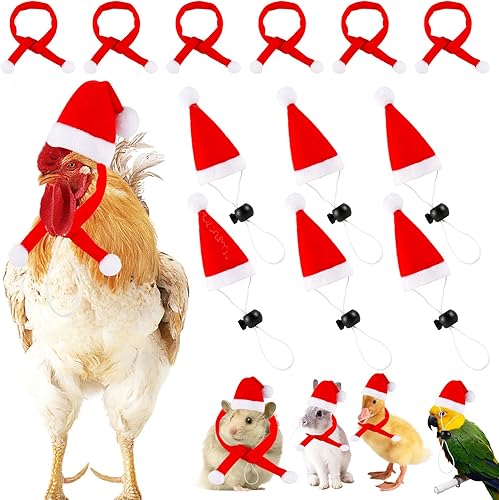 Juego de 12 bufandas de gorro de pollo para mascotas, gorro de animal de Navidad, mini sombrero de Papá Noel, gorro de Navidad para mascotas,