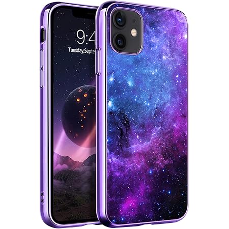 IPhone 12 / 12 Pro Phone Case, Phone Case IPhone 12 / 12 Pro Magnetic Case [ Compatible With MagSafe] Tough Rugged Matte Slim Shockproof Anti-Fingerprint Anti-Scratch Protective Cover, Blue Rose