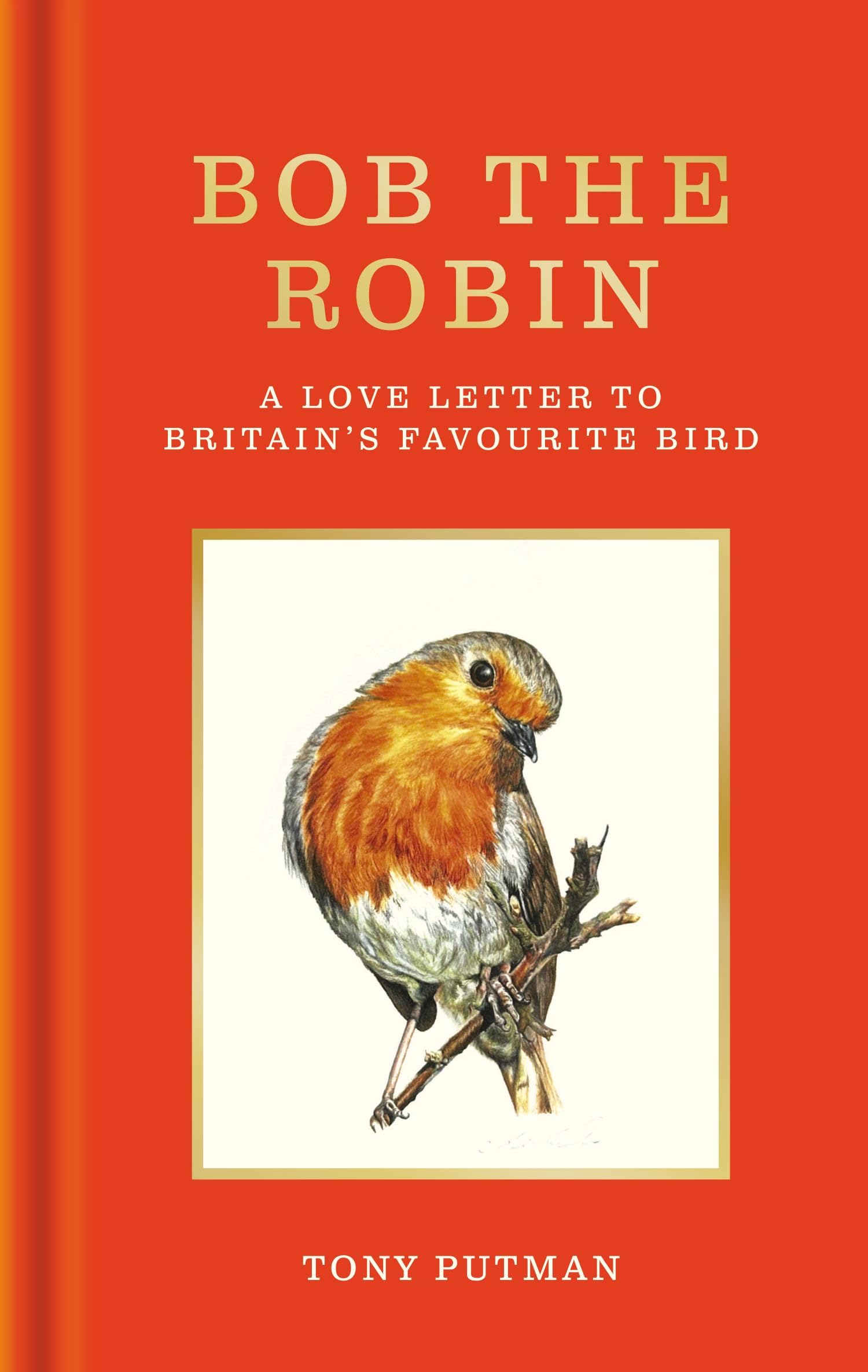 Bob the Robin by Tony Putman - 9781856755320