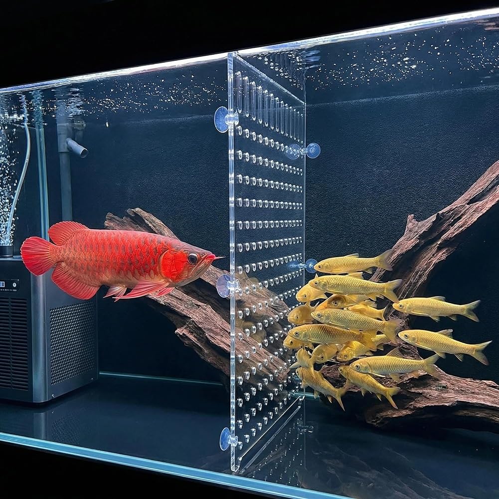 Divisor de acrílico for peceras Acuario | Placa de succión acrílica transparente de 71x60 cm: for alevines, seguridad de camarones, agresión y control de temperatura