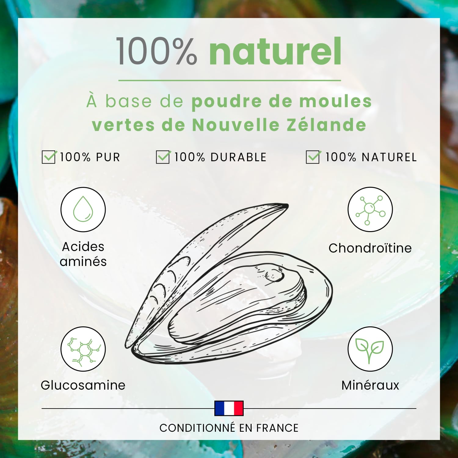 BUBIMEX - Poudre de Moules Vertes - Bien-Être Articulaire Chien & Chat - Formule 100% Naturelle - 400 g
