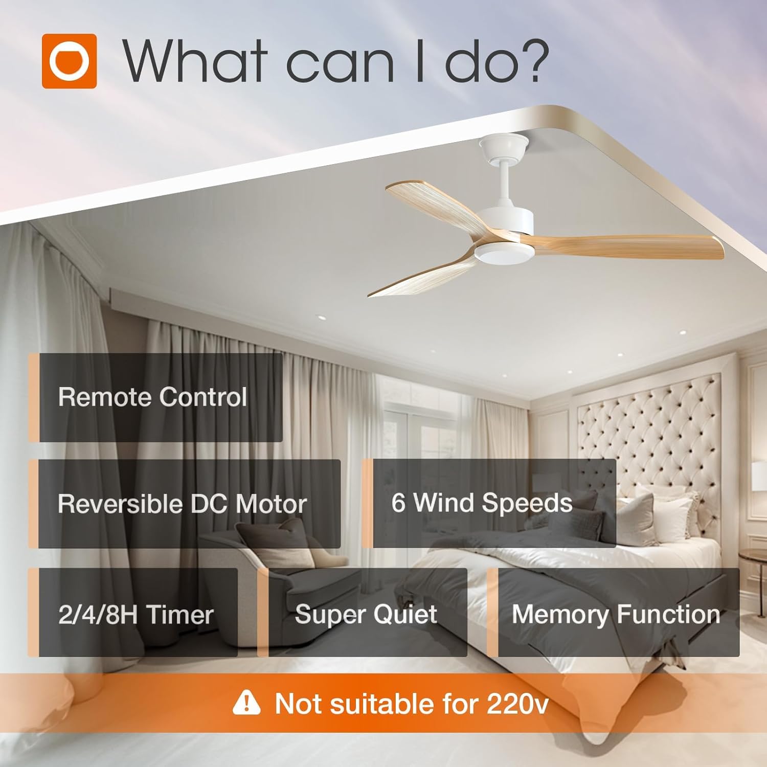 Remote control features and warnings about switch types and voltage