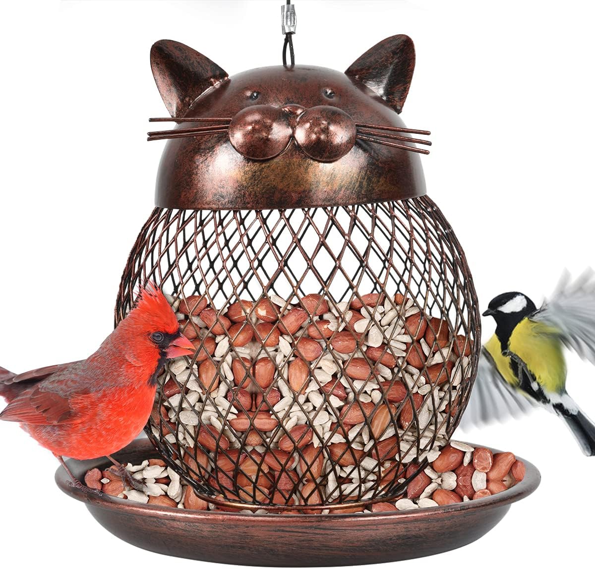 cat bird feeder