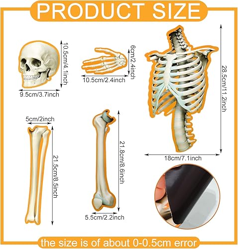 Miniatura 3 de Kanayu 55 pósteres decorativos magnéticos de esqueleto humano, para anatomía humana, tablón de anuncios, borde de esqueleto, esqueleto humano,