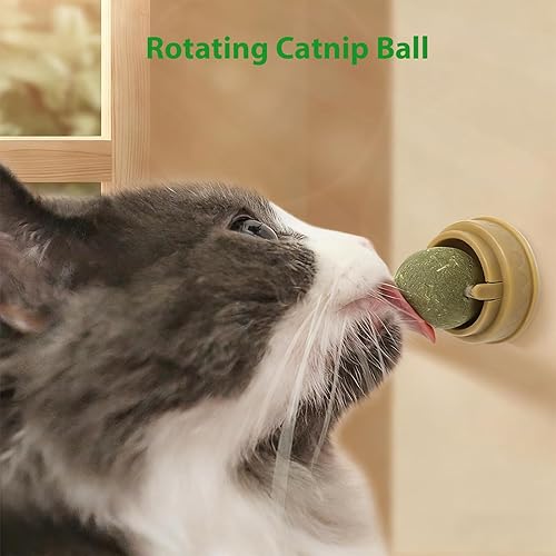 Miniatura 2 de Cat Toys Catnip, Adhesive Catnip Ball Cat Toy Teeth Cleaning Toy