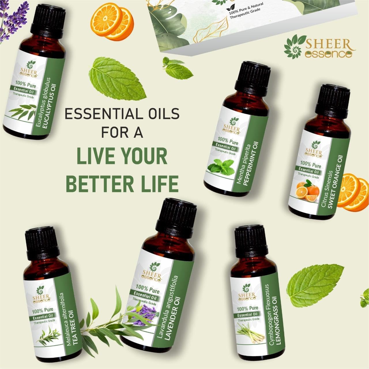 Essential Oils Set - 6 x 15ml - Top 6 Fragrances (Sweet Orange, Eucalyptus, Lavender, Peppermint, Tea Tree, Lemongrass) for Aromatherapy, Candles, Diffusers, Gifts, Humidifiers