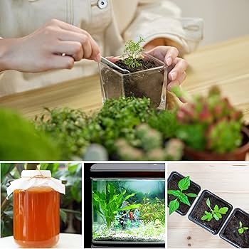 Amazon | 育苗ヒーターマット用サーモスタット 温度調節 育苗器