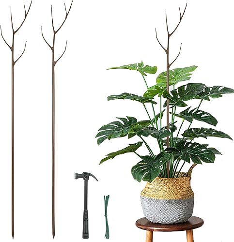 Miniatura 1 de Twig - Estacas de soporte para plantas de interior para plantas en maceta, paquete de 2 enrejados de ramitas marrones de 39.4 pulgadas para plantas