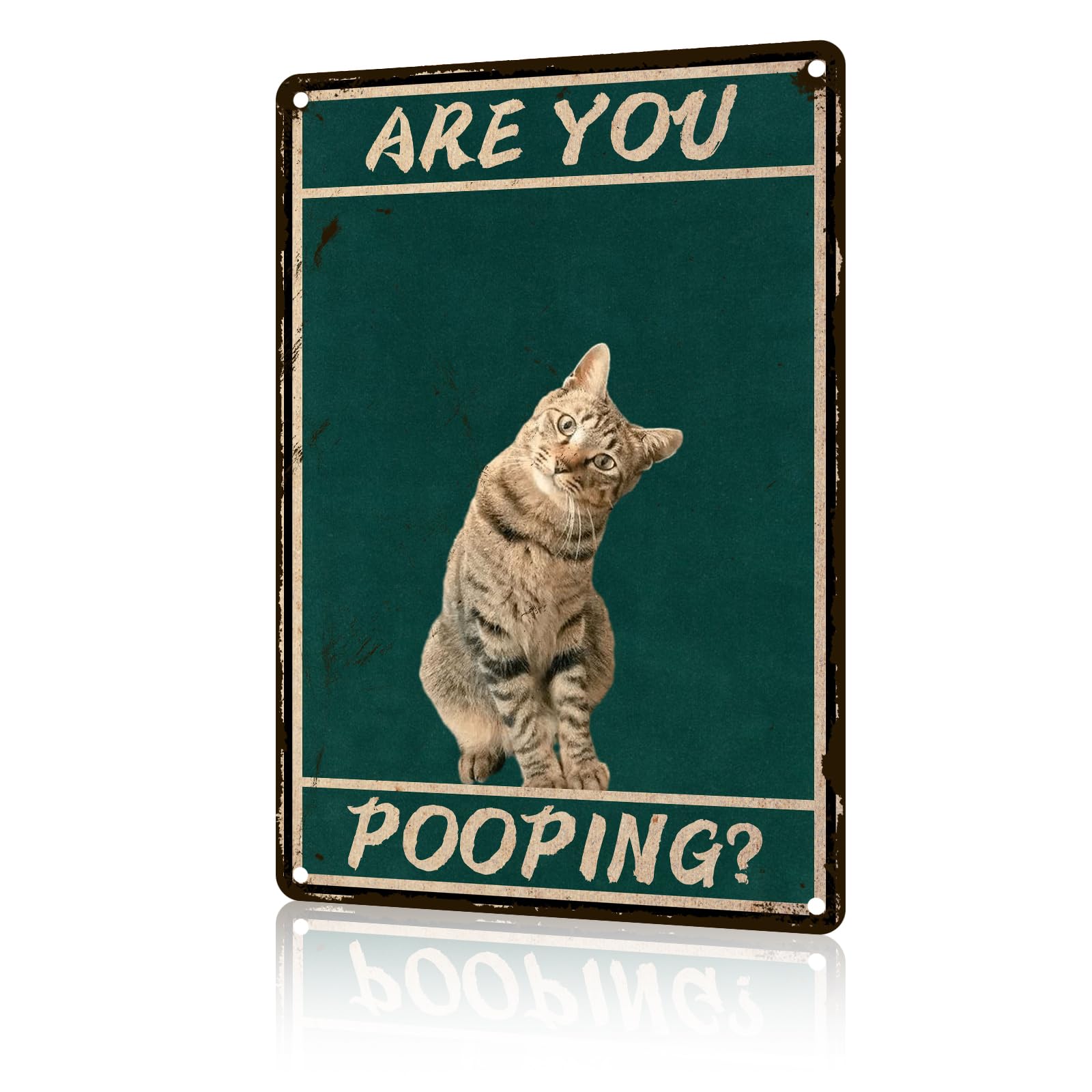 Anceky Are You Pooping Cat Tin Sign Vintage Animal Sign Aluminum Metal Sign Wall Decor for Yard Outdoor Farmhouse Kitchen Home 12×8 Inch