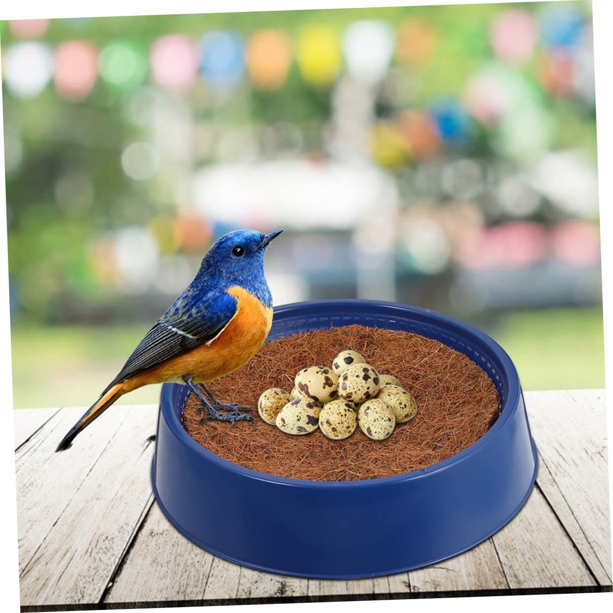 FRCOLOR 1 Juego Macetas De Paloma Transportadora Criadero De Palomas Jaula Nido De Palomas Suministro De Palomas Cama De Pájaro Cama De Paloma El Plastico Nido De Cría El Nido del Pájaro