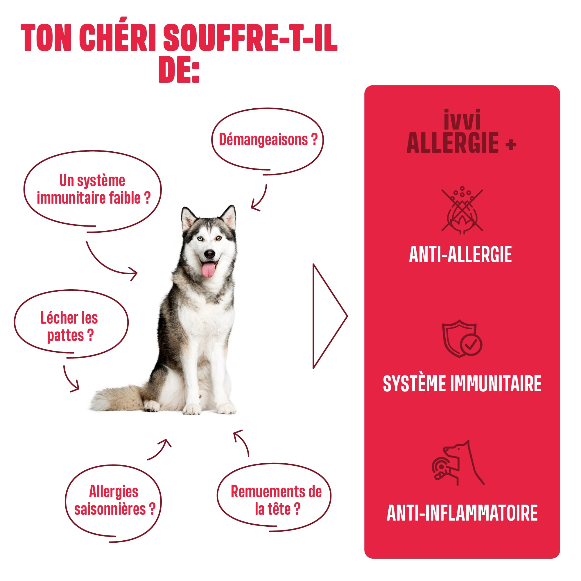ivvi Allergy Immunity pour chiens – contre les allergies et les démangeaisons et pour renforcer le système immunitaire – 60 délicieuses collations (270 g) au saumon