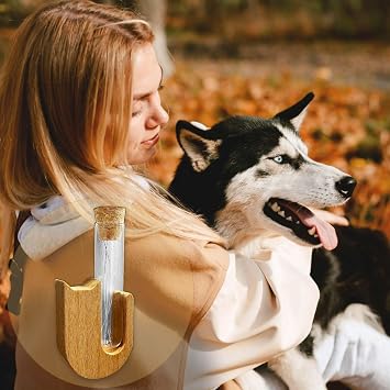 Cat Whisker Holder, Mini Glass Vase for Cat Whiskers, Cat Whisker Jar, Elegant Memorial Gift for Pet Lovers, Pet Loss Gift for Dog and Cat Ashes and Hair Keepsake