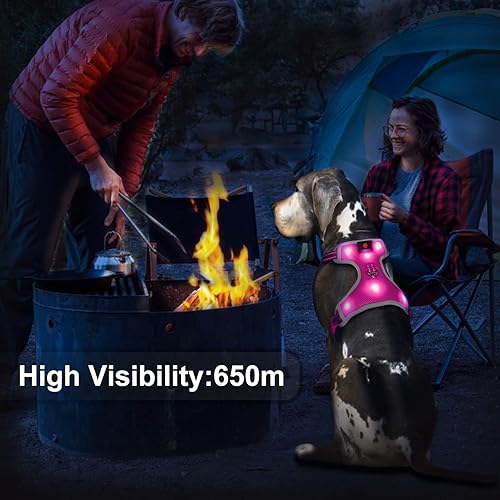 Miniatura 3 de Arnés para perro que brilla en la oscuridad recargable por USB (rosa, L)