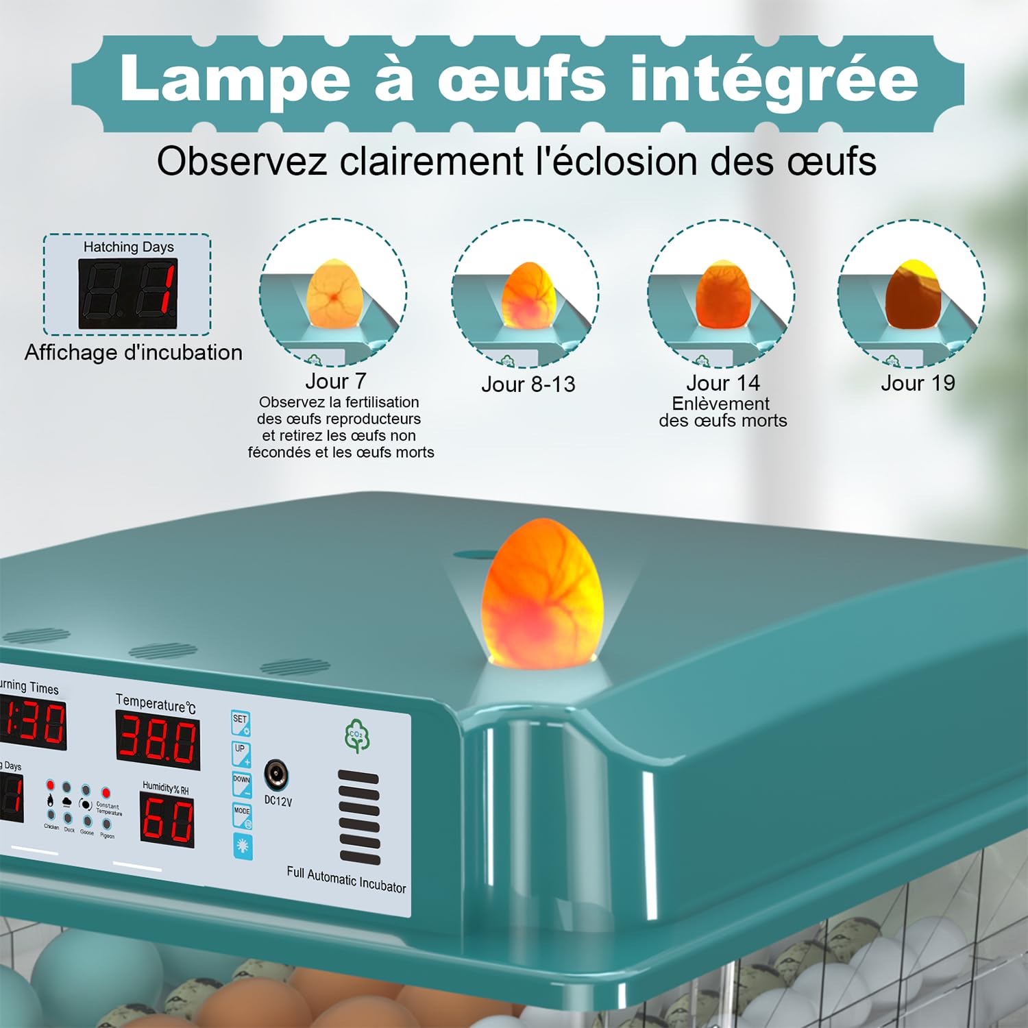 Incubateur Oeuf Automatique 120 Œufs, Couveuse Oeuf Automatique avec 4 Modes d’Incubation Automatique, Affichage Température & Humidité, Remplissage d’Eau Automatique, Couveuse pour Volaille & Poultry