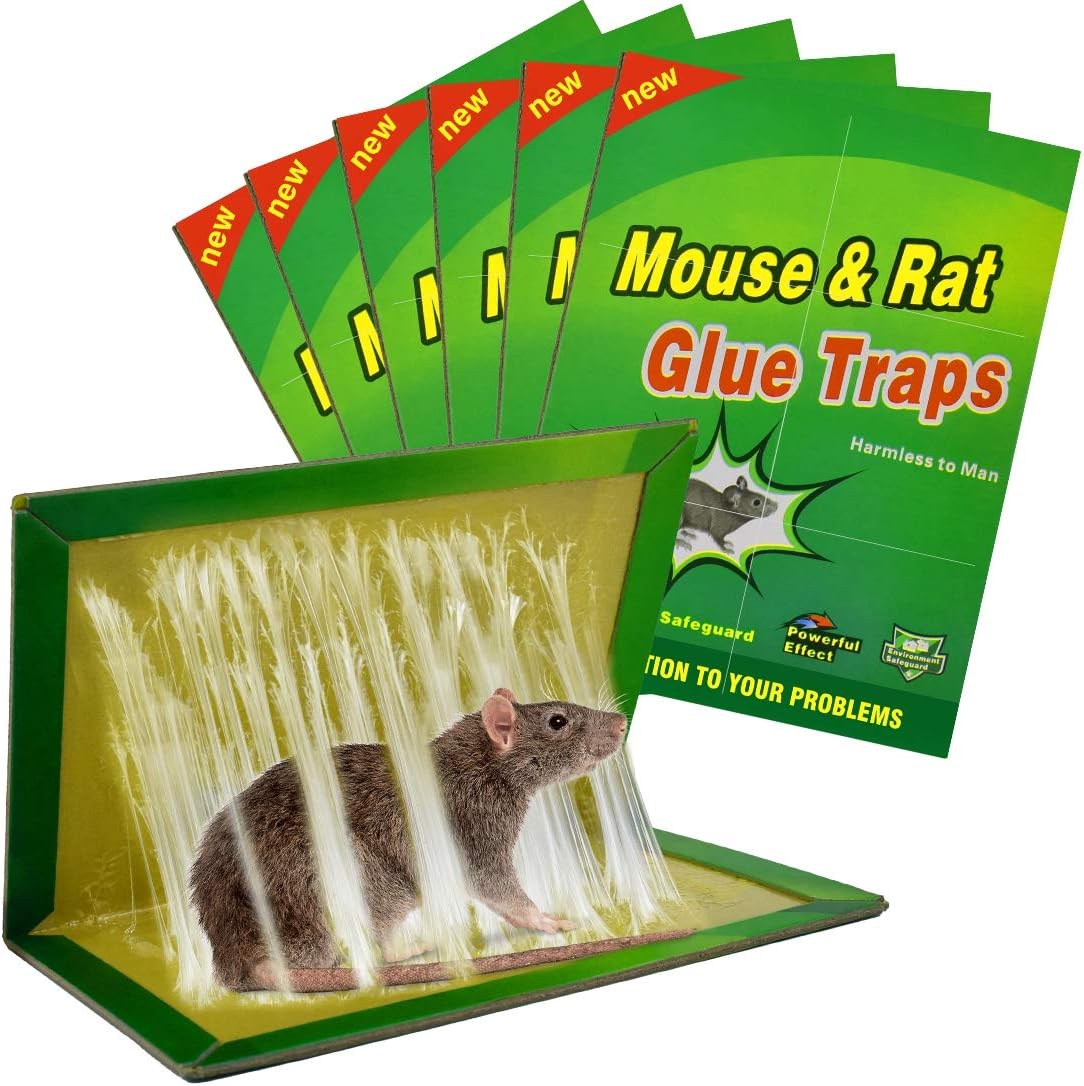 LIWI-Piège à souris, piège adhésif pour souris, rats et petits insecs