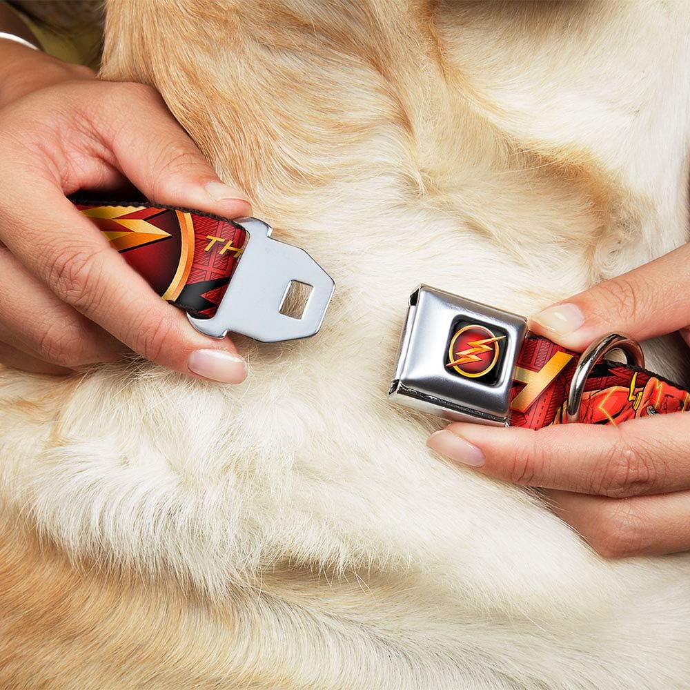 Buckle-Down Dog Collar Seatbelt Buckle The Flash Logo3 Poses Black Red Gold 16 to 23 Inches 1.5 Inch Wide