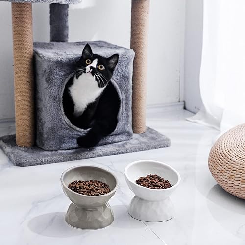 Miniatura 2 de OMAYKEY Cuencos elevados de cerámica para gatos, juego de cuencos elevados inclinados para comida y agua, plato de porcelana libre de estrés para