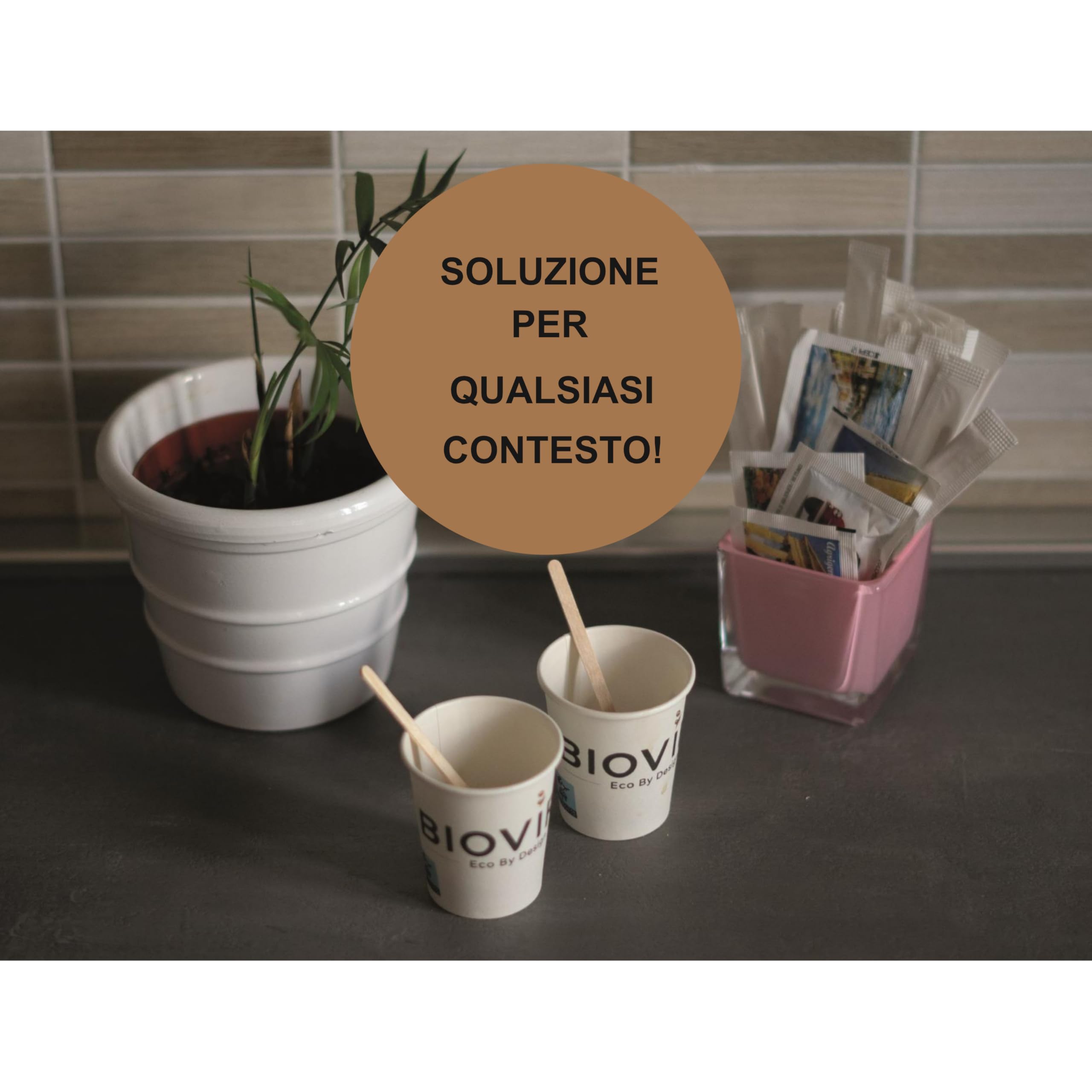 BIOVIRA 500 Pezzi Palette Caffe Monouso Legno Betulla 90x5x1,3 mm Made in Italy