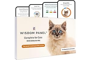Wisdom Panel Premium, Cat DNA Test — Comprehensive Breed Identification & Health Screening