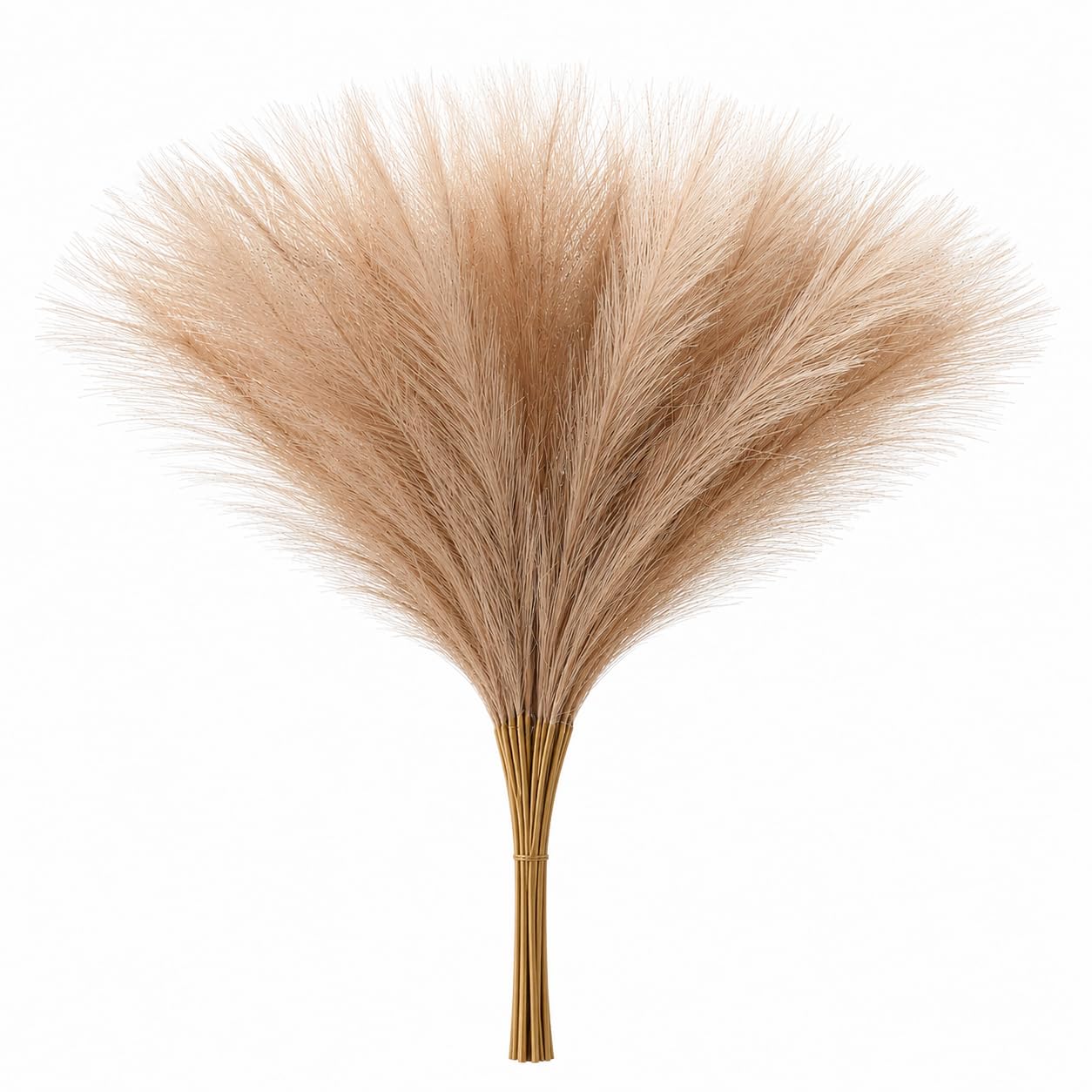 Pampas Grass Set - Realistic Boho Flowers -1