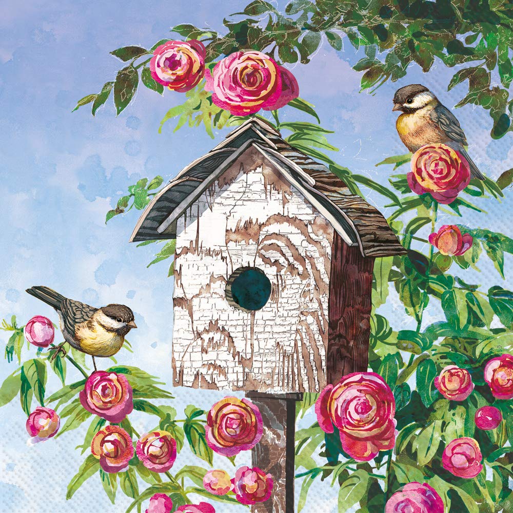 Boston International C858800 IHR 3-Ply Cocktail Beverage Paper Napkins, Lovely Birdhouse