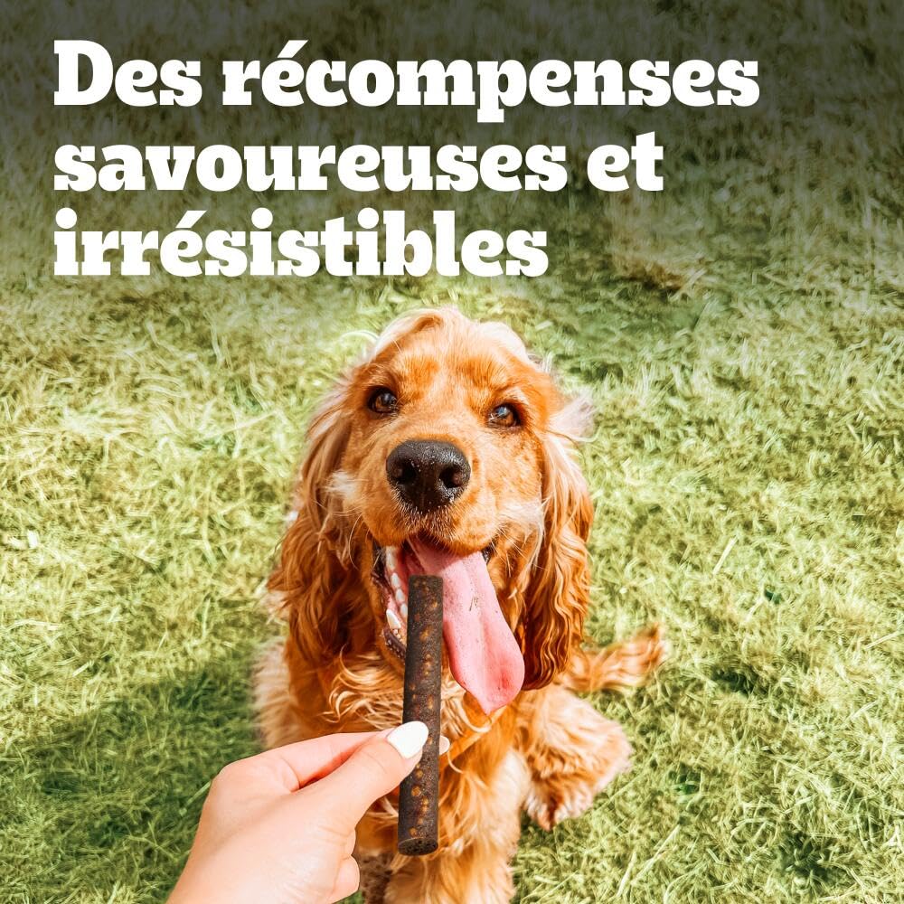 PEDIGREE Ranchos Sticks - Bâtonnets au foie de poulet - Récompenses pour chien adulte - 10 sachets de 60g